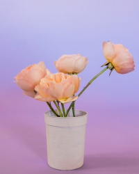flower img